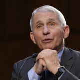 'Faucian Bargain' Examines Influence of Anthony Fauci