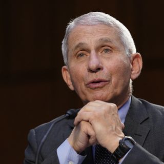 'Faucian Bargain' Examines Influence of Anthony Fauci