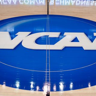 Transgender athletic ban sponsor not worried about NCAA pressure, ‘Tennessee’s economy is very strong’