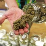 Bipartisan medical marijuana bill introduced in NC Senate