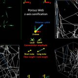 Scientists Turned Spiderwebs Into Music, And It's Hauntingly Beautiful