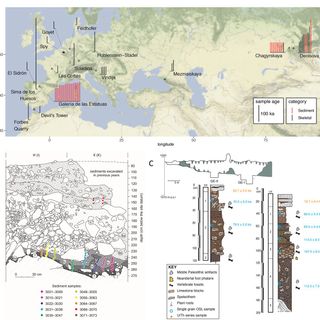 Unearthing Neanderthal population history using nuclear and mitochondrial DNA from cave sediments