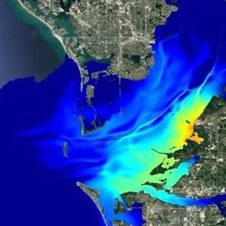 Forecasting what comes next from Piney Point for Tampa Bay