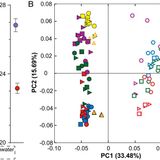 Microbiome reduction and endosymbiont gain from a switch in sea urchin life history