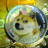 Dogecoin spikes 400% in a week, stoking fears of a cryptocurrency bubble