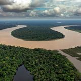 Peru to establish rainforest reserve for isolated Indigenous peoples