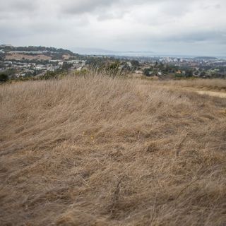 California, rest of the West sinking into a rare mega-drought, scientists say