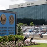 NSA official installed as Trump left office resigns after he was sidelined