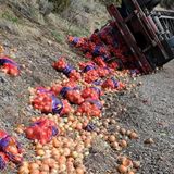 Semi full of onions overturns in Logan Canyon
