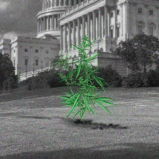 Congress Is Closer Than Ever to Ending the Federal War on Weed