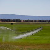 5 Things You Need To Know About Federal Drought Aid In California