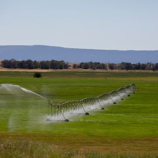 5 Things You Need To Know About Federal Drought Aid In California