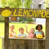 Pennsylvania House to consider 'Free to Lemonade Stand' bill