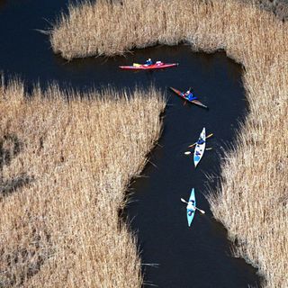 Maryland environmental groups plan to sue Eastern Shore factory that’s set to receive millions in taxpayer funds