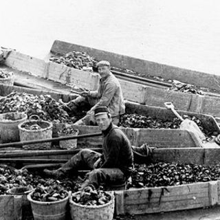 Oystermen an Oregon Experience, The Oystermen