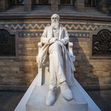 How Darwin's 'Descent of Man' Holds Up 150 Years After Publication