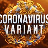 New Texas COVID-19 variant resistant to antibodies, researchers say