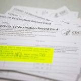 ‘Ripe for fraud’: Coronavirus vaccination cards support burgeoning scams