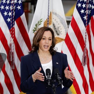 Analysis: Bumpy first weeks of Harris’ immigration role show challenges of the job
