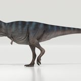 Tyrannosaurus rex walked surprisingly slowly, new study finds | CNN