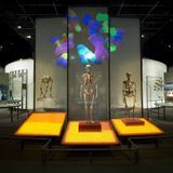 Creativity and community: How modern humans overcame the Neanderthals