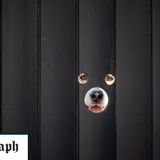 Husky owner makes viewing holes in fence for inquisitive dogs