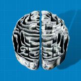 You, Rewired: How Modernity Changes the Brain