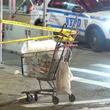 Asian man in critical condition after brutal attack in NYC