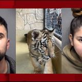 Couple charged with animal cruelty after tiger cub and bobcat found inside South Side home