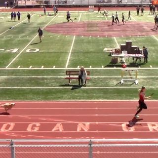 Dog runs on track during high school meet, beats runner to finish line