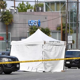 Man in body armor who backed car into police vehicle fatally shot by LAPD on Sunset Blvd.