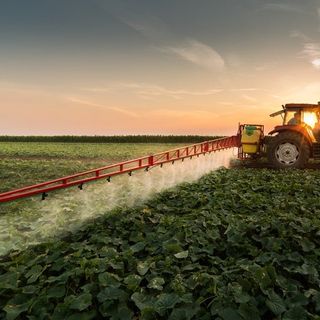 Pesticides Are Killing the Organisms That Keep Our Soils Healthy