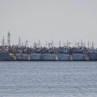 ‘Dark’ ships off Argentina ring alarms over possible illegal fishing