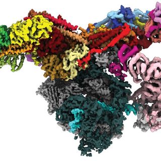 DeepMind’s AI predicts structures for a vast trove of proteins