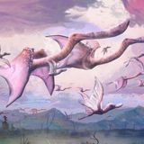 Pterosaurs may have been able to fly as soon as they hatched