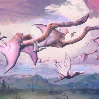 Pterosaurs may have been able to fly as soon as they hatched