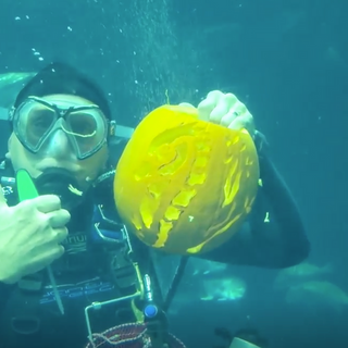 South Carolina Aquarium surprises guests with underwater pumpkin carving