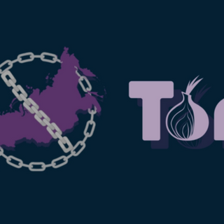Russia blocks access to Tor browser website