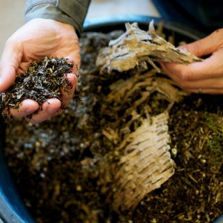 How to compost—and why it’s good for the environment