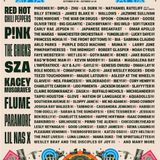 Austin City Limits 2022 Lineup Has Red Hot Chili Peppers, Pink, The Chicks, & A Whole Lot More