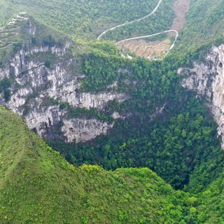 Scientists discover an ancient forest inside a giant sinkhole in China