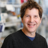 David Baker, head of Seattle’s Institute for Protein Design, launches London biotech startup