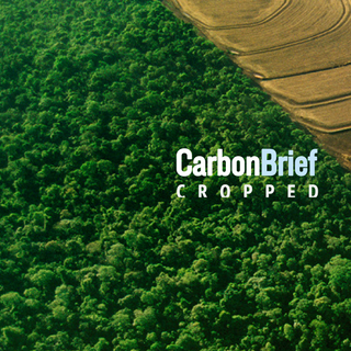 Cropped, 4 May 2022: UN land report; State of the forests; Indonesia bans palm oil exports - Carbon Brief