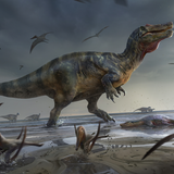 Crocodile-faced dinosaur may have been Europe’s largest ever predator