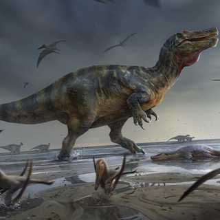 Crocodile-faced dinosaur may have been Europe’s largest ever predator