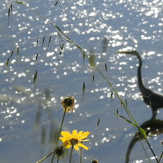 Here's how hot it got Sunday in 25 San Diego County communities