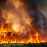 Man detained in police probe of raging wildfires in France