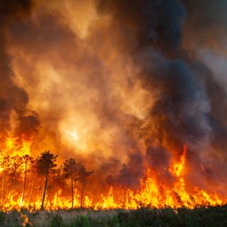 Man detained in police probe of raging wildfires in France