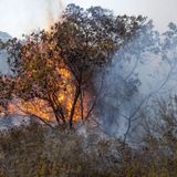 Israel to Add Heat Waves to 'Threat Map' Amid Grim Climate Projections - Israel News