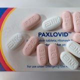 What is Paxlovid, the pill Biden is taking after testing positive for COVID?